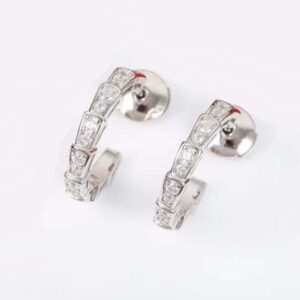 Classic Zircon Snake Earrings - e-08